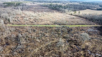 +/- 255 acres hunting and timberland property located in the Dry - photo 8