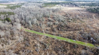 +/- 255 acres hunting and timberland property located in the Dry - photo 9