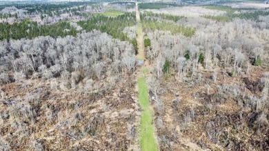 +/- 255 acres hunting and timberland property located in the Dry - photo 10