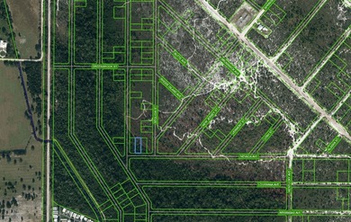 Lake Clay Lot For Sale in Lake Placid Florida