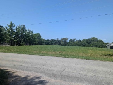 Outstanding vacant land development opportunity on Greers Ferry - photo 5