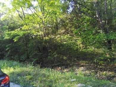(private lake, pond, creek) Lot For Sale in Cedar Hill Missouri