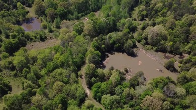 This 78+/- acre tract in Coldwater, Mississippi, offers a strong - photo 1