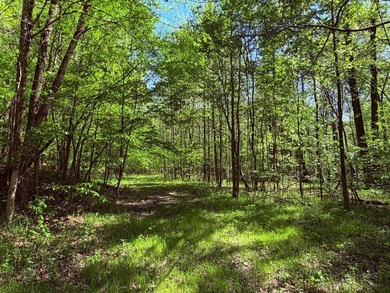This 78+/- acre tract in Coldwater, Mississippi, offers a strong - photo 2