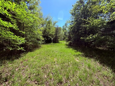 This 78+/- acre tract in Coldwater, Mississippi, offers a strong - photo 4