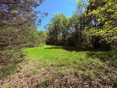 This 78+/- acre tract in Coldwater, Mississippi, offers a strong - photo 5