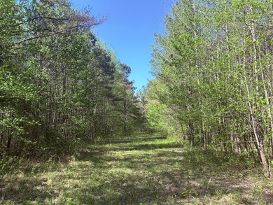This 78+/- acre tract in Coldwater, Mississippi, offers a strong - photo 6