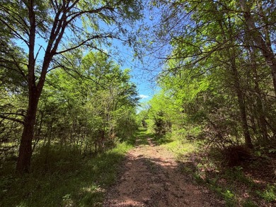 This 78+/- acre tract in Coldwater, Mississippi, offers a strong - photo 7