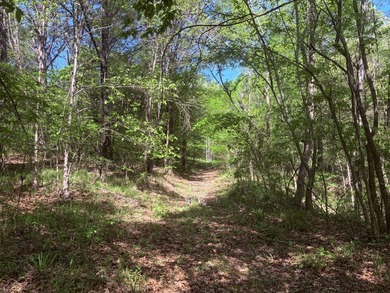 This 78+/- acre tract in Coldwater, Mississippi, offers a strong - photo 8