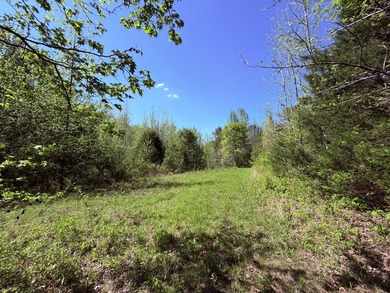 This 78+/- acre tract in Coldwater, Mississippi, offers a strong - photo 10