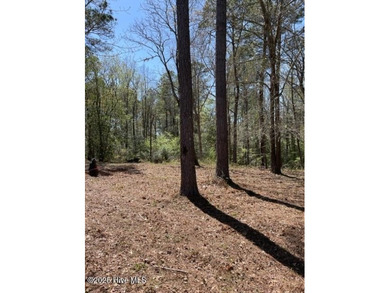 Cape Fear River Lot For Sale in Leland North Carolina