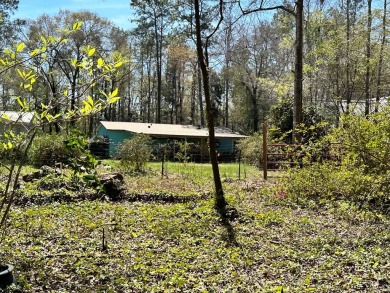 Lake Home For Sale in Eufaula, Alabama