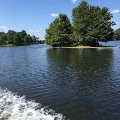 3bd, 3 ba, lakehouse garage workshop boathouse pontoon boat - photo 1