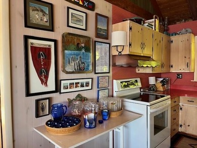 Make CORYELL ISLAND your summer home! This special property - photo 7