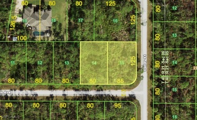 Port Charlotte Waterway Area Lot For Sale in Port Charlotte Florida