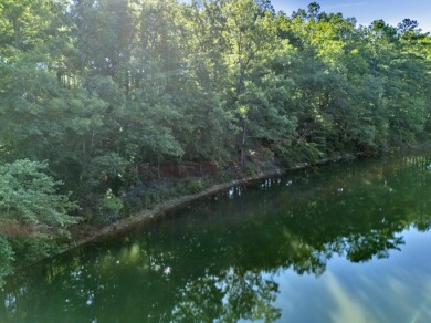 If you are looking for a great lot with a gentle walk to the - photo 1