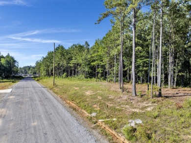 If you are looking for a great lot with a gentle walk to the - photo 3