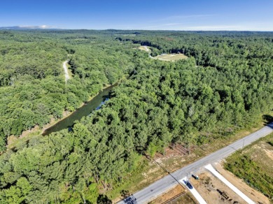 If you are looking for a great lot with a gentle walk to the - photo 4