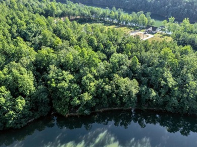 If you are looking for a great lot with a gentle walk to the - photo 7