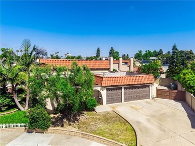 8111 Dartmoor Dr - photo 41