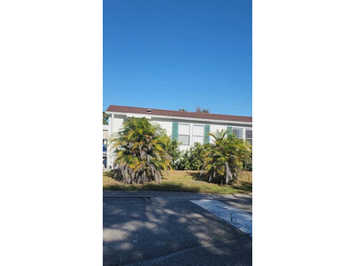 (private lake, pond, coastal) Home For Sale in Tampa Florida