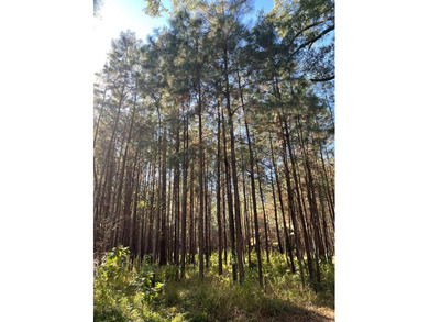 (private lake, pond, coastal) Acreage For Sale in Cairo Georgia