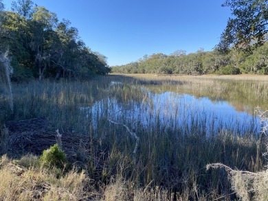 (private lake, pond, coastal) Acreage For Sale in Yonges Island South Carolina