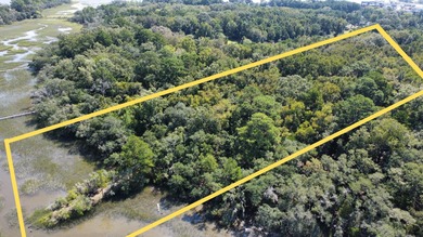 Great 8.39 acre property backing up to the marsh on Yonges - photo 3