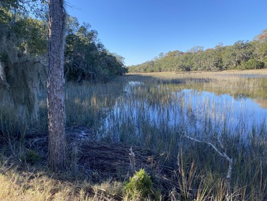 Great 8.39 acre property backing up to the marsh on Yonges - photo 4