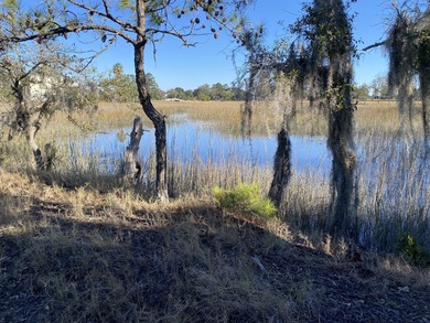 Great 8.39 acre property backing up to the marsh on Yonges - photo 5