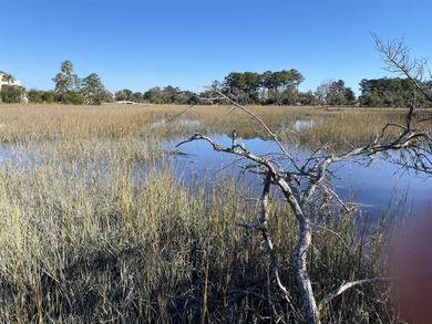 Great 8.39 acre property backing up to the marsh on Yonges - photo 6