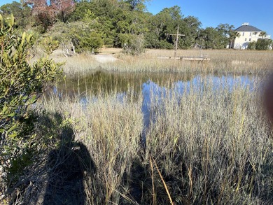Great 8.39 acre property backing up to the marsh on Yonges - photo 7
