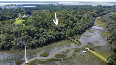 Great 8.39 acre property backing up to the marsh on Yonges - photo 9