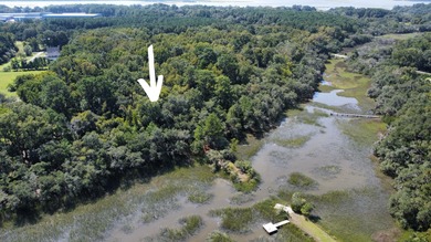 Great 8.39 acre property backing up to the marsh on Yonges - photo 10