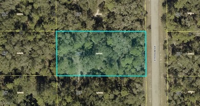 Lake Lot For Sale in Lehigh Acres, Florida