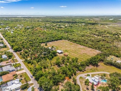 Set within the historic heart of Pineland, this extraordinary 9 - photo 12