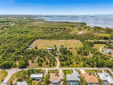 Set within the historic heart of Pineland, this extraordinary 9 - photo 13
