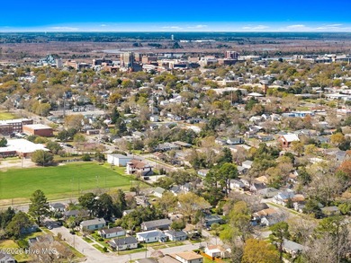 Just minutes from downtown Wilmington, this iconic coastal row - photo 20