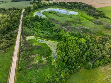 Classic Wisconsin farmhouse & outbuildings on 33+ acres in - photo 6