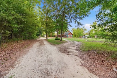 Nestled on approximately 36.5 acres in Gordon, Alabama, this - photo 32