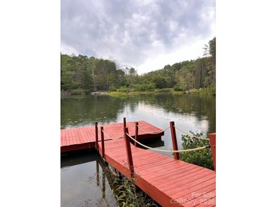Beautiful Mountain Log Home on 2.5 acres with lake views. Hidden - photo 46