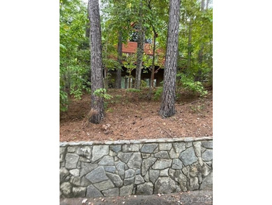 Beautiful Mountain Log Home on 2.5 acres with lake views. Hidden - photo 48