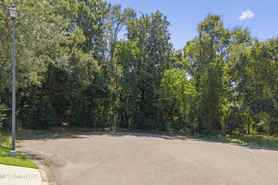 Wooded cul-de-sac lot in sought-after Bayou View. Deeded water - photo 3