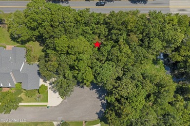 Wooded cul-de-sac lot in sought-after Bayou View. Deeded water - photo 5