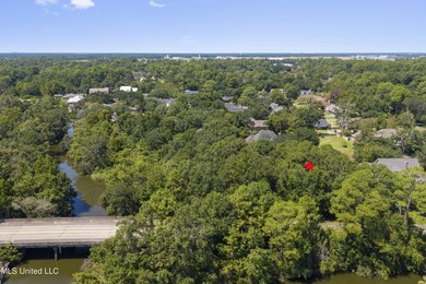 Wooded cul-de-sac lot in sought-after Bayou View. Deeded water - photo 9