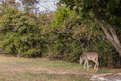 Lake Lot For Sale in Possum Kingdom Lake, Texas