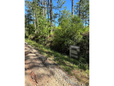 Lake Acreage For Sale in Bainbridge, Georgia