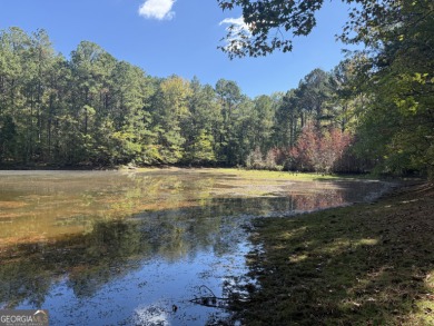 Lake Acreage For Sale in Greenville, Georgia