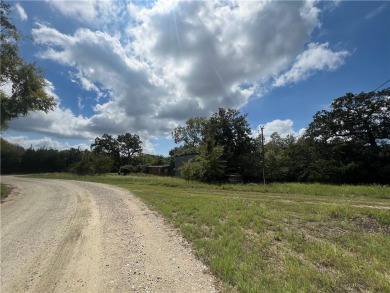 Lake Home For Sale in Jewett, Texas