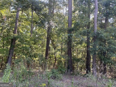 Lake Lot For Sale in Conyers, Georgia